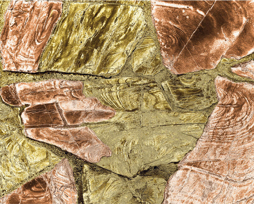 Legor Ottone e Bronzo - leghe e soluzioni galvaniche con metalli preziosi e non